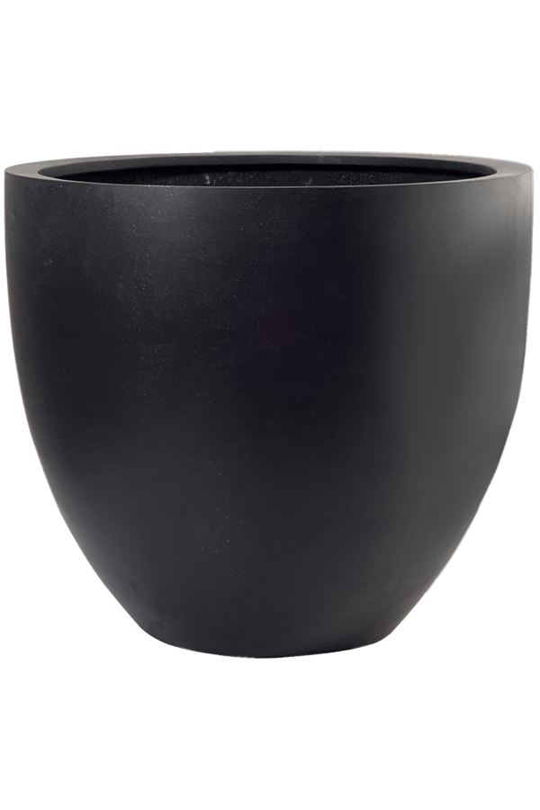 Fiberstone Jesslyn S Black