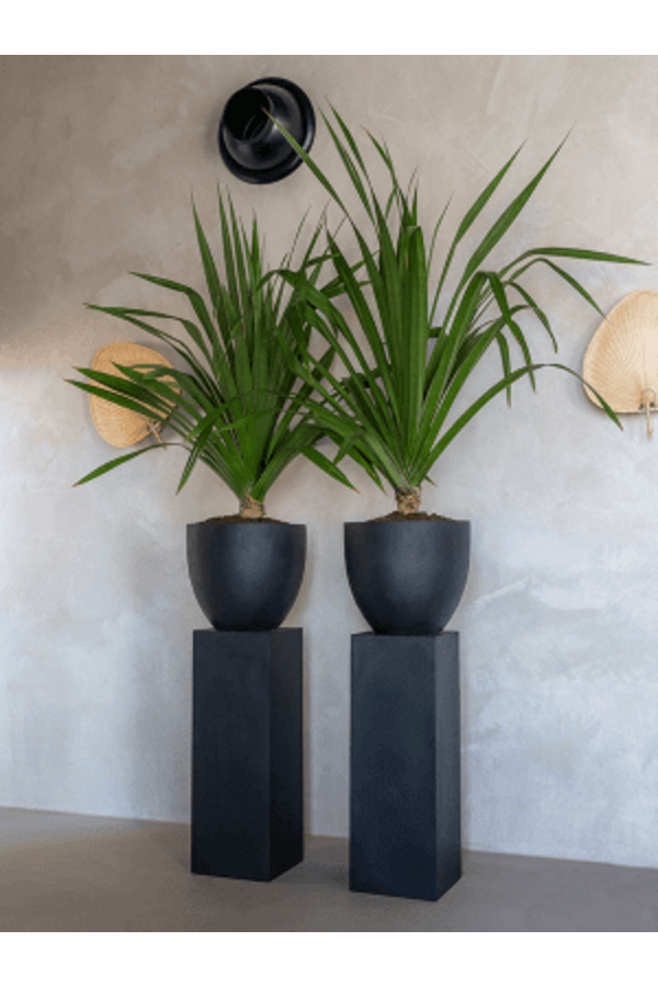 Fiberstone Jesslyn S Black