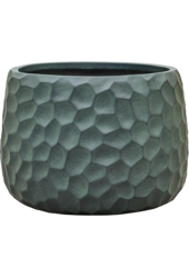 Baq Tortuga Darcy Forest Green