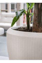 Baq Polystone Prosta Para Naturalna