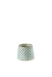Anturium Białe Florence Ice Blue
