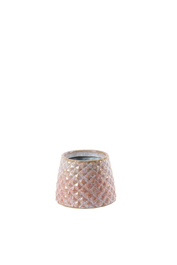 Anturium Zizou w kolorze Florence Green Reactive