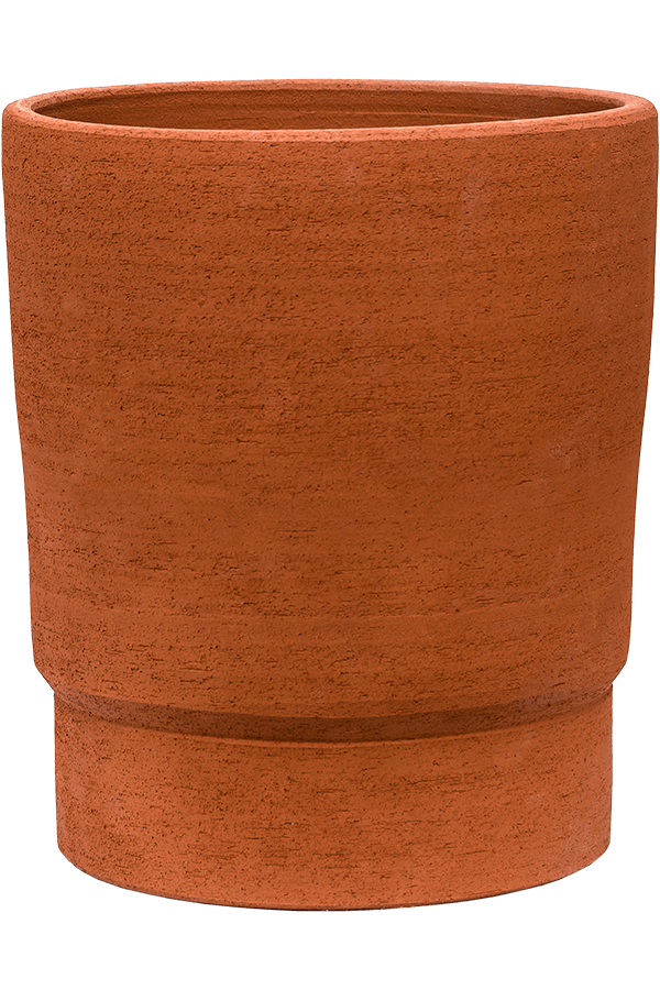 Chao Pot Terra