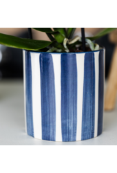 Kolibri Company | Zestaw roślinny Śródziemnomorski Zachód Słońca | Biała orchidea Phalaenopsis i sukulenty wraz z ozdobnymi doniczkami ceramicznymi