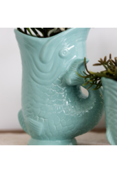 Orchidee Kolibri | Zestaw roślinny Ryba Turkus | Zestaw z białą orchideą Phalaenopsis Amabilis Ø9cm i zieloną rośliną sukulent Crassula Hobbit Ø6cm | w zestawie turkusowe ceramiczne doniczki dekoracyjne