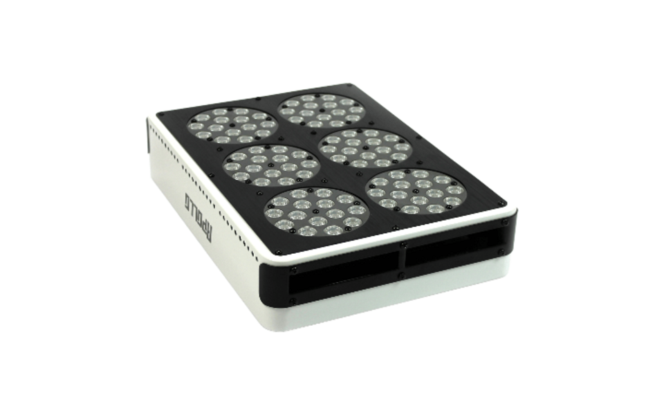 Apollo Apollo 6 LED Grow Light