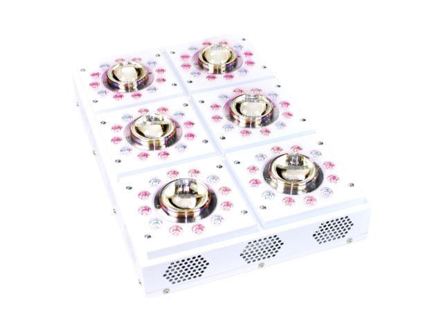 Apollo-X 6 LED kweeklampen