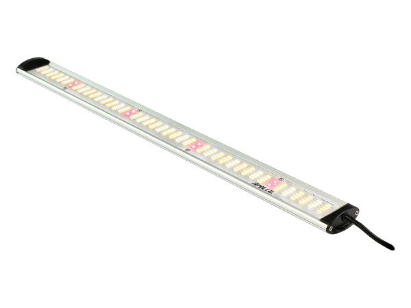 Apollo Falcon 60 PRO LED Kweeklamp Apollo Falcon 60 PRO LED Kweeklamp