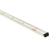 Apollo Falcon 60 PRO LED kweeklampen