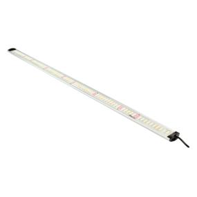 Apollo Falcon 115 PRO Apollo Falcon 115 PRO