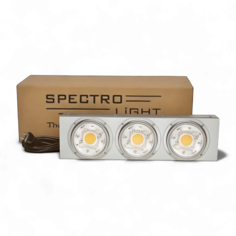 Spectro Light Blast 500 Limited Edition Spectro Light Blast 500 Limited Edition