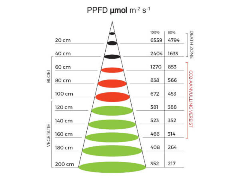 Spectro Light Spectro Light Blast 500 Limited Edition Spectro Light Spectro Light Blast 500 Limited Edition