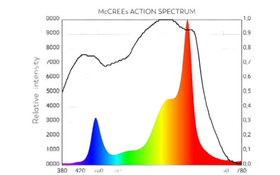 Spectro Light Spectro Light Blast 500 Limited Edition Spectro Light Spectro Light Blast 500 Limited Edition