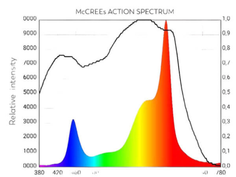 Spectro Light Spectro Light Blast 500 Limited Edition Spectro Light Spectro Light Blast 500 Limited Edition