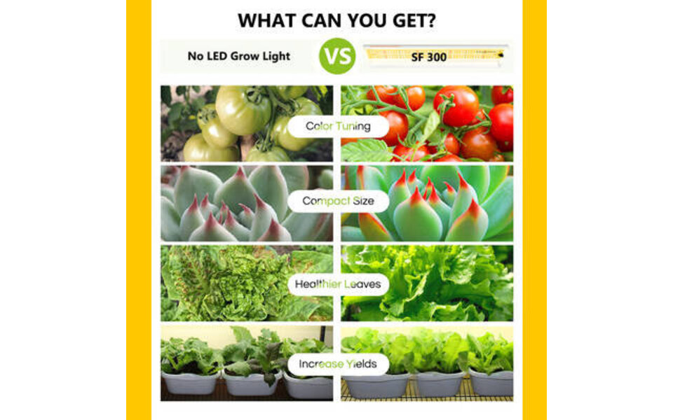 Spider Farmer Spider Farmer SF600 LED Grow Light Spider Farmer Spider Farmer SF600 LED Grow Light