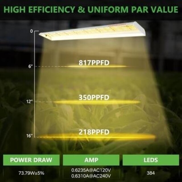 Spider Farmer Spider Farmer SF600 LED Grow Light Spider Farmer Spider Farmer SF600 LED Grow Light
