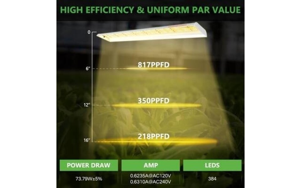 Spider Farmer Spider Farmer SF600 LED Grow Light Spider Farmer Spider Farmer SF600 LED Grow Light