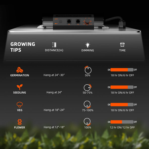 Spider Farmer Spider Farmer SF4000 LED Kweeklamp Spider Farmer Spider Farmer SF4000 LED Kweeklamp