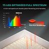 Mars Hydro Mars Hydro TSW-2000 LED Grow Light