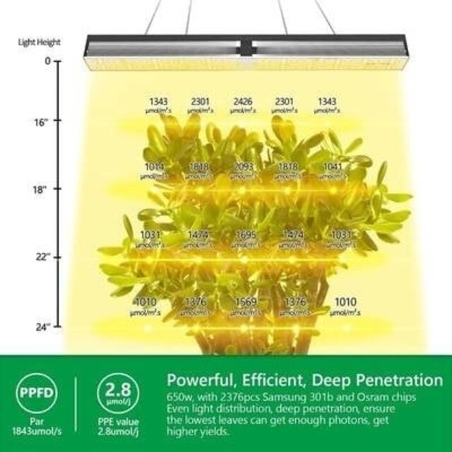 Mars Hydro Mars Hydro SP 6500 LED Grow Light