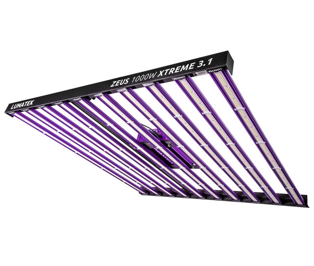 Rechthoekige zwarte LED kweeklamp 1000 watt voor 150x150 cm kweekoppervlak met hoge efficiëntie 3.1 µmol per joule