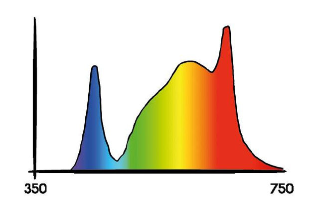 Secret Jardin Secret Jardin Cosmorrow Bloom (90cm 40w)