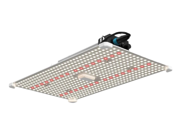 LUMii Black Blade 100w LED Kweeklamp LUMii Black Blade 100w LED Kweeklamp