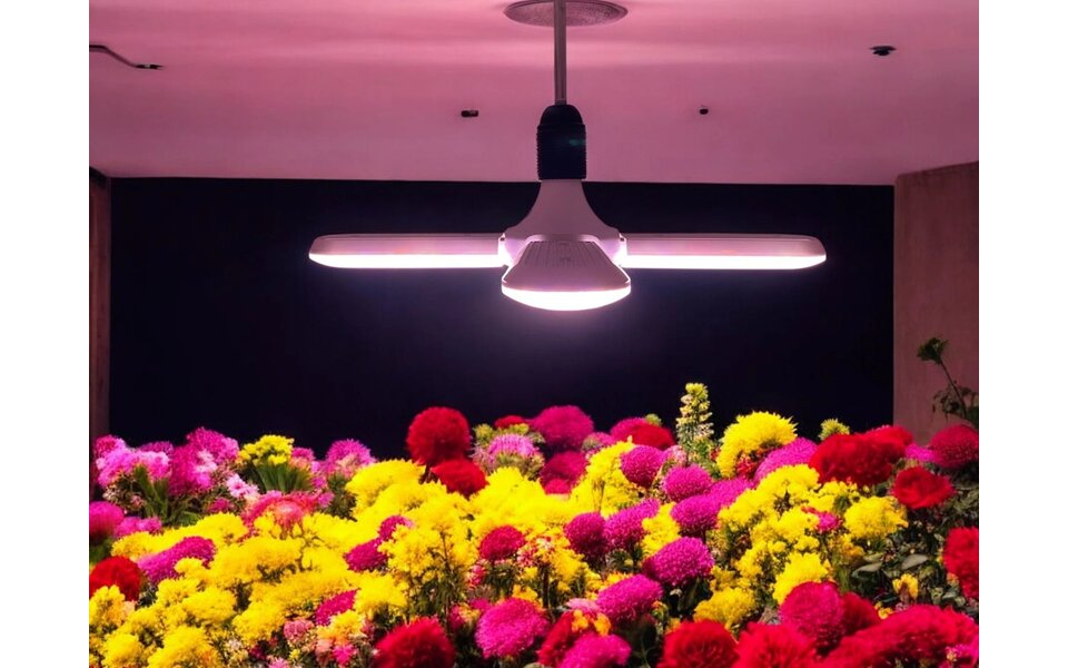 HLW HLW Chopper 4 | 40W | E27 | Full-spectrum | LED Grow Light