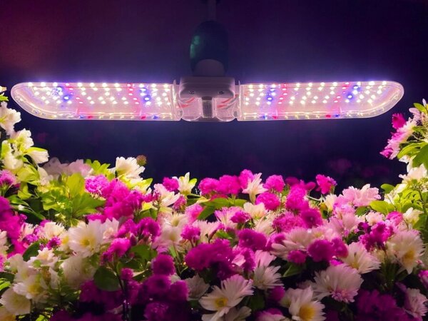 E27 LED groeilamp 20watt - HLW Chopper 2 E27 LED groeilamp 20watt - HLW Chopper 2