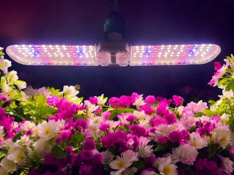 HLW E27 LED groeilamp 20watt - HLW Chopper 2 HLW E27 LED groeilamp 20watt - HLW Chopper 2