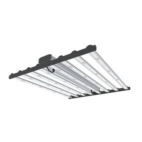 Megaphoton Spider 800 Megaphoton Spider 800