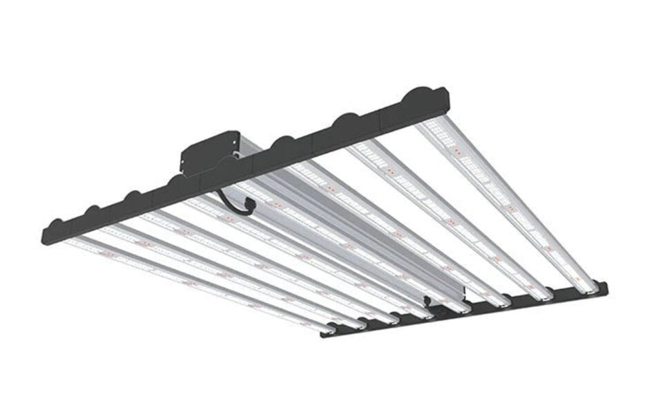 Megaphoton Megaphoton Spider 800