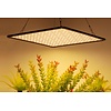 HLW LED Groeipaneel | 35W | Full-Spectrum