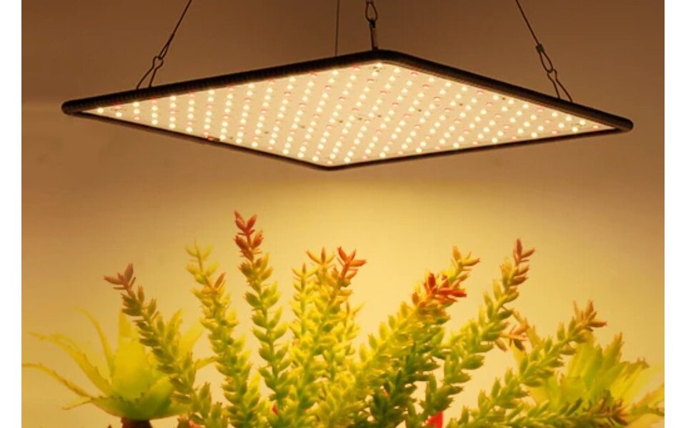Moeslamp LED Grow Panel | 35W | Full-Spectrum