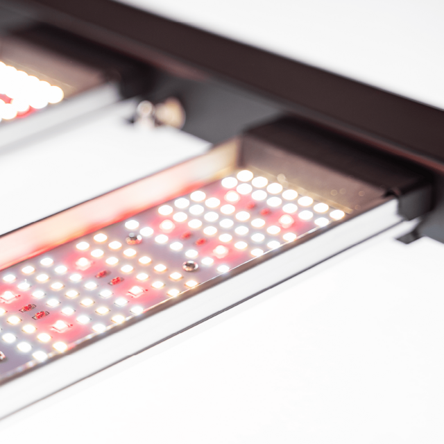 Migro MIGRO ARAY 150 LED Grow Light