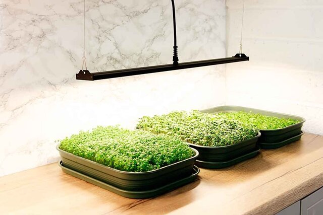 Bezig met laden... Bezig met laden...