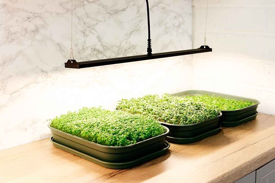 Migro MIGRO ARAY 1 LED Kweeklamp Migro MIGRO ARAY 1 LED Kweeklamp