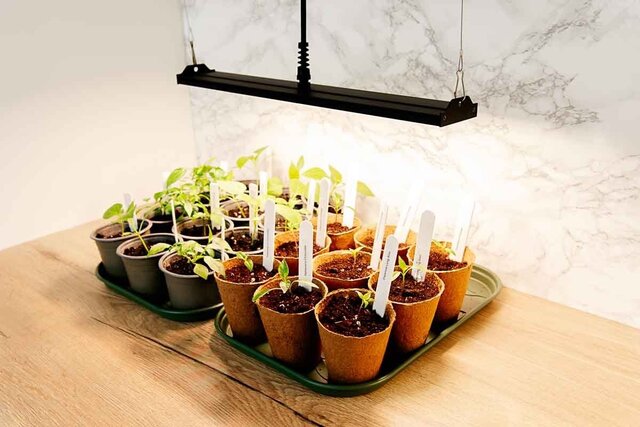 Migro MIGRO ARAY 1 LED Grow Light Migro MIGRO ARAY 1 LED Grow Light