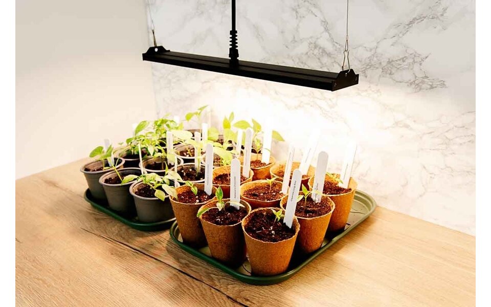 Migro MIGRO ARAY 1 LED Grow Light Migro MIGRO ARAY 1 LED Grow Light