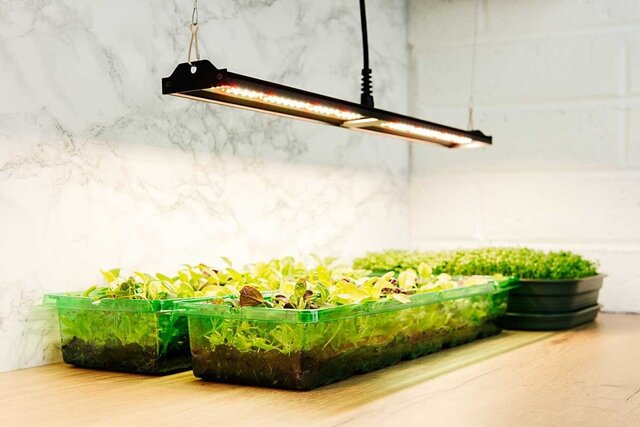 Migro MIGRO ARAY 1 LED Grow Light Migro MIGRO ARAY 1 LED Grow Light