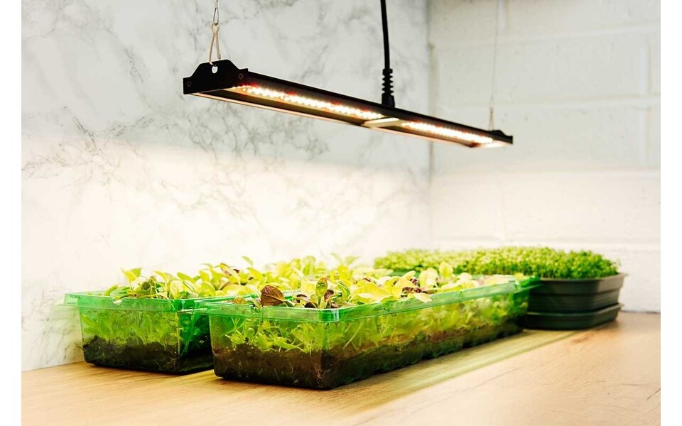 Migro MIGRO ARAY 1 LED Kweeklamp Migro MIGRO ARAY 1 LED Kweeklamp