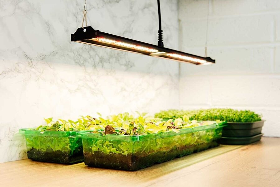 Migro MIGRO ARAY 1 LED Kweeklamp Migro MIGRO ARAY 1 LED Kweeklamp