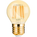 LED Bulb E27 Bulb Filament Brinton 4W 2200K G45
