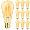 10x LED Lamp E27 Edison Filament Brinton 6W ST64 10x LED Lamp E27 Edison Filament Brinton 6W ST64