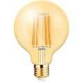 LED Lamp E27 Globe Filament Brinton 6W 2200K G95 Dimbaar LED Lamp E27 Globe Filament Brinton 6W 2200K G95 Dimbaar