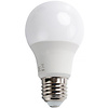 LED Lamp E27 Fitting 12W Helder/Koud Wit 6500K LED Lamp E27 Fitting 12W Helder/Koud Wit 6500K