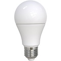 LED Lamp E27 Fitting 10W Dimbaar Helder/Koud Wit 6400K