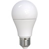 LED Lamp E27 Fitting 10W Dimbaar Helder/Koud Wit 6400K Lichtbronnen