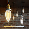 HLW LED Aigi Delano - E14 LED Filament Lamp with WiFi & Bluetooth