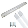 LED TL Armatuur met T8 Buis Incl. Starter - Aigi Hari - 150cm Dubbel - Lichtbronnen LED TL Armatuur met T8 Buis Incl. Starter - Aigi Hari - 150cm Dubbel - Lichtbronnen